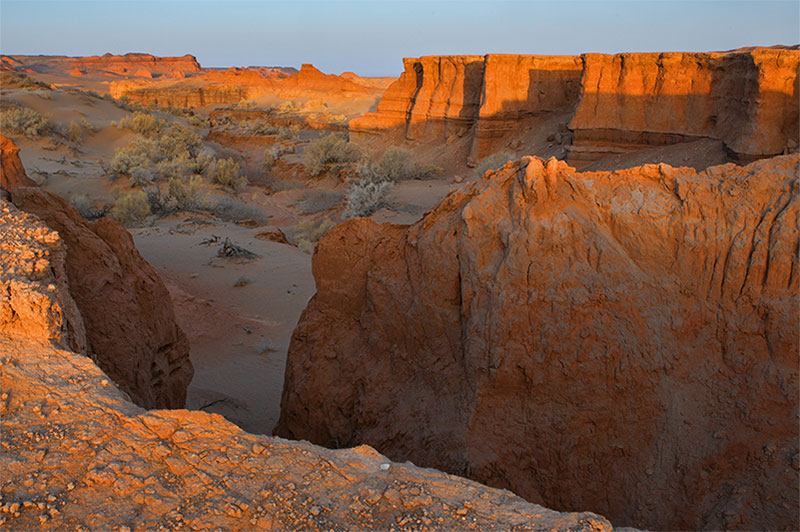 mongolia gobi pterosaur found